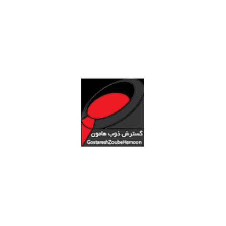 شرکت گسترش ذوب هامون